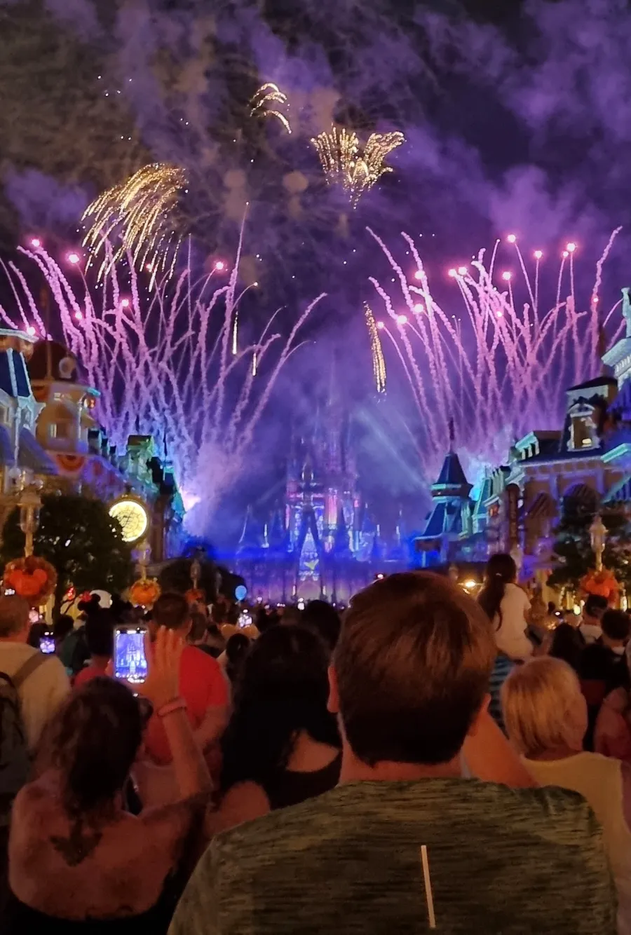 Fuegos artificales en Magic Kingdom con el castillo de fondo