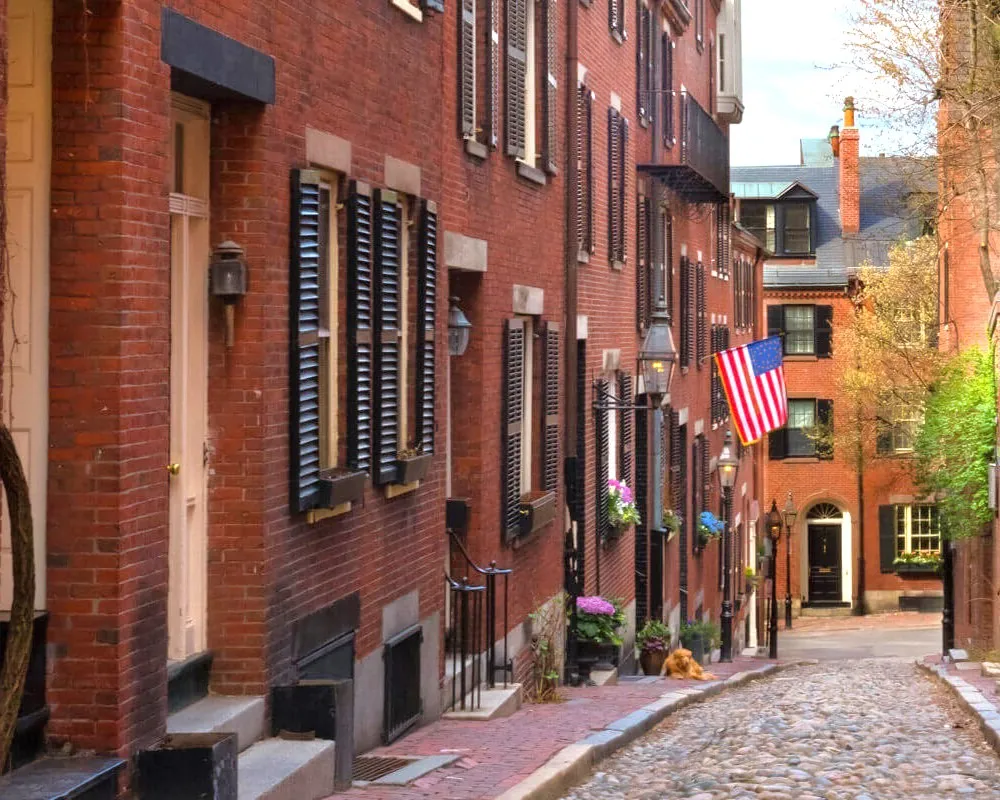 13_comerenbos Calle Acorn, Beacon Hill