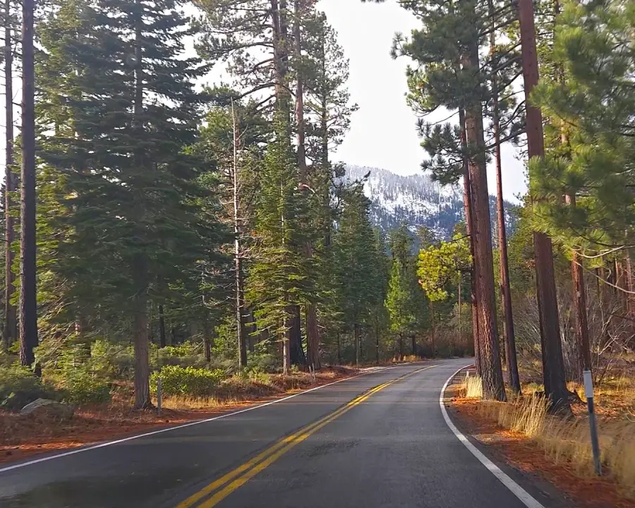 Paisajes de montaña y bosrques de pino en la Sierra Nevada de California con la ruta pasando por el centro