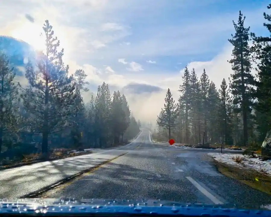 Ruta de montaña al norte de California por la mañana con los pinos verdes y la bruma sobre la montaña. Uno de los mejores caminos para planificar un road trip por estados unidos