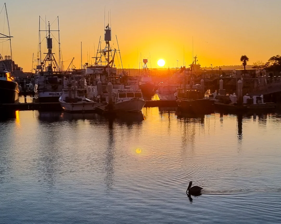 Atardecer en el Embarcadero de San Diego