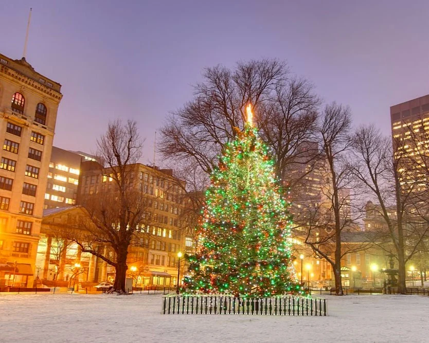 Arbol navideño en Boston