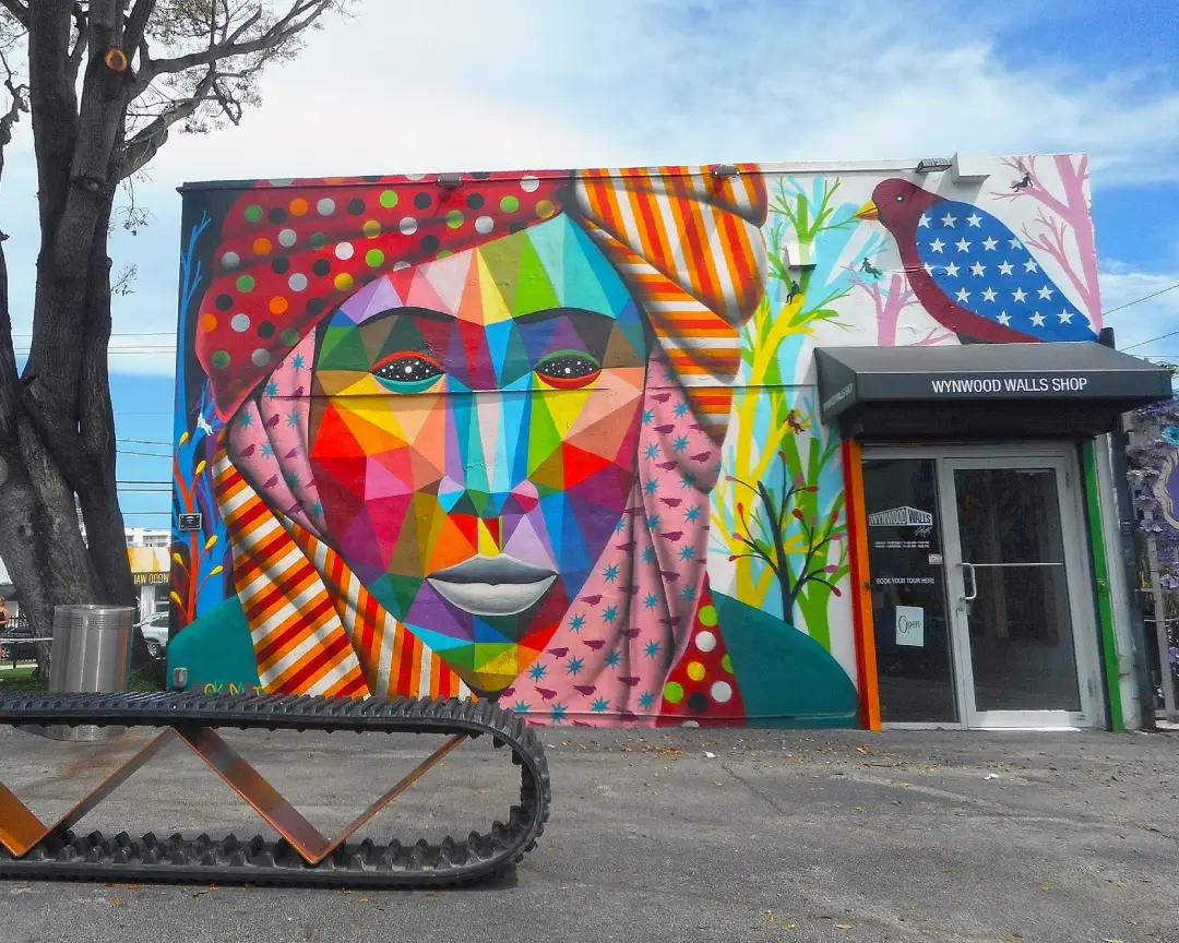 Mural en Winwood Wall, Miami