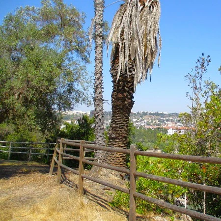 6_parques_sandiego Uno de los senderos del Parque Presidio en San Diego, con vistas a uno de los barrios de la ciudad