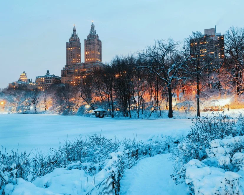 8_nyinvierno Central Park Nevado