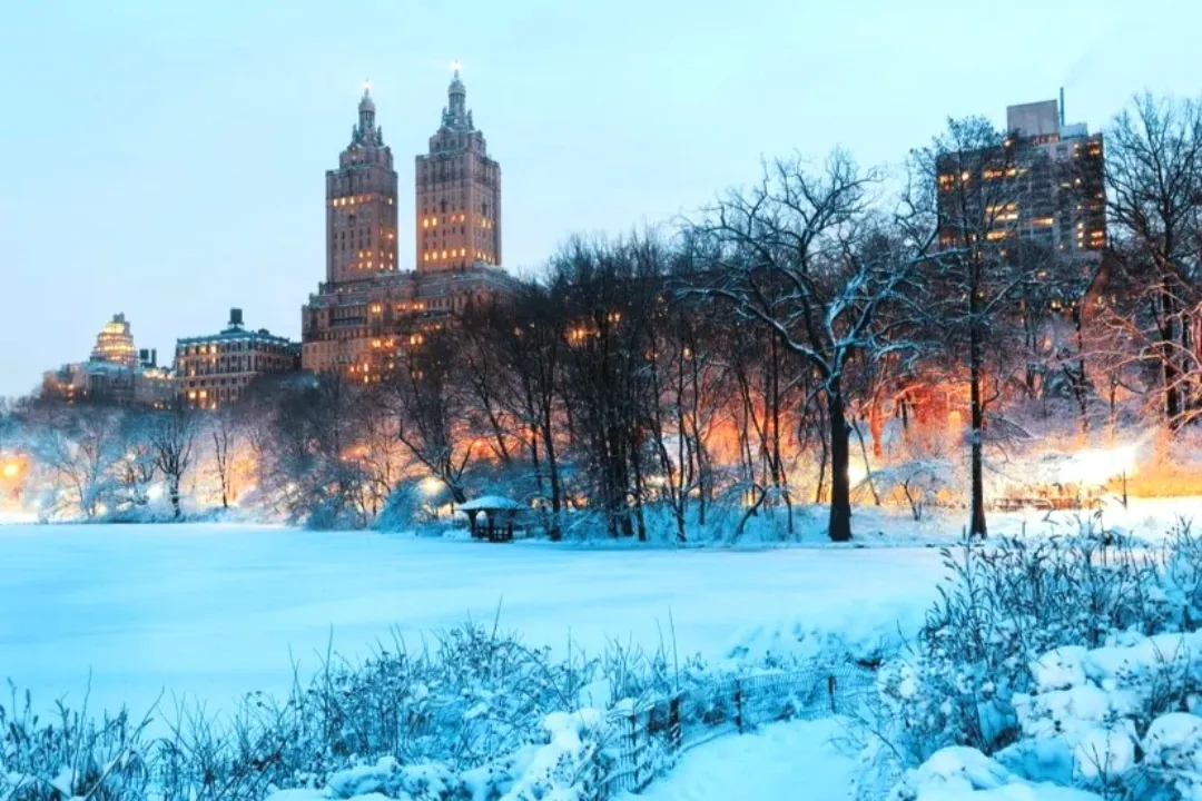 Central Park de Nueva york cubierto de nieve